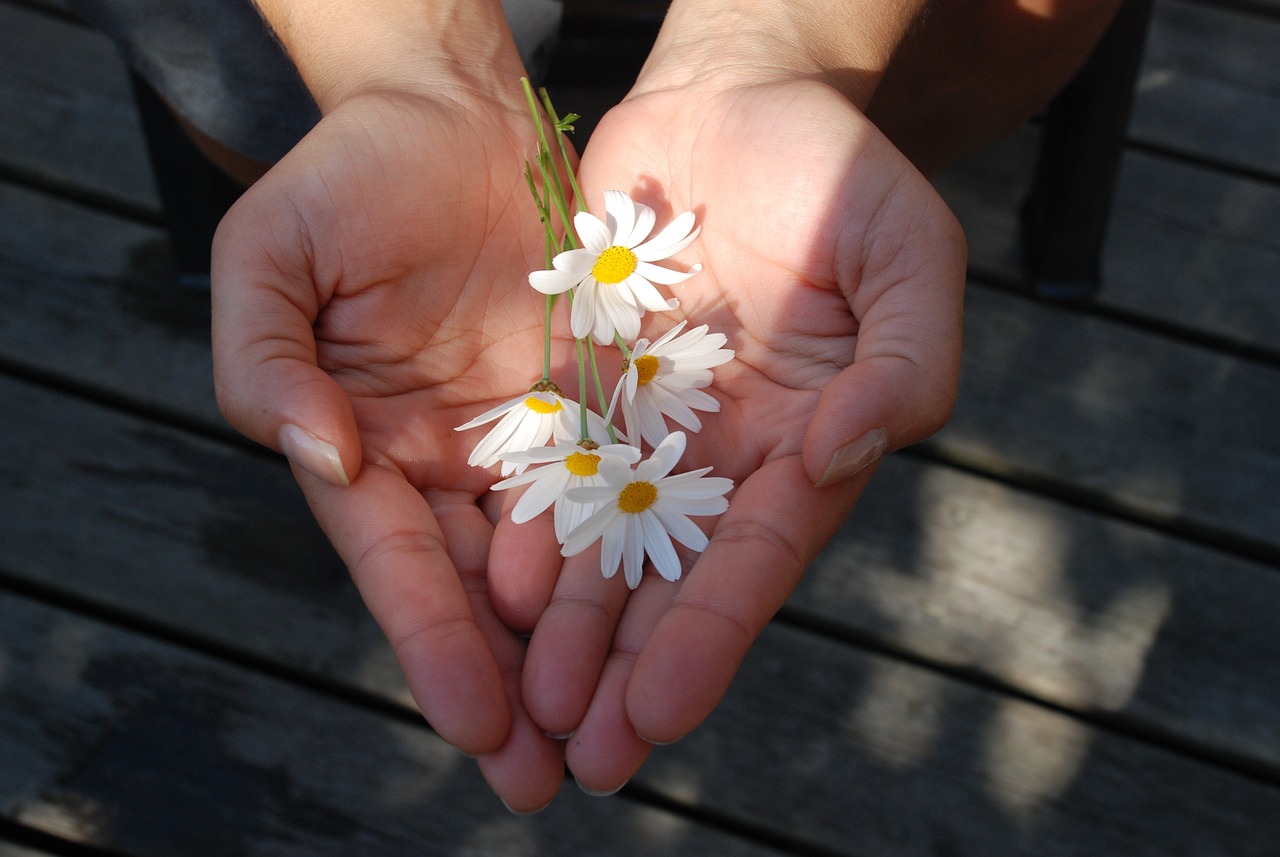 flower-g715836c31_1280